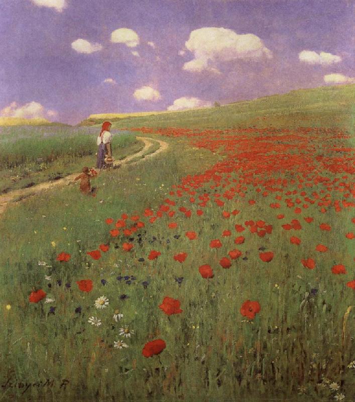 Merse, Pal Szinyei A Field of Poppies Spain oil painting art